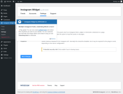 Page screenshot: Instagram Widget &rarr; Settings