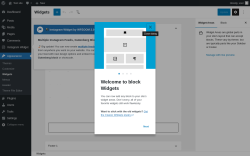 Page screenshot: Widgets &lsaquo; Test site &mdash; WordPress