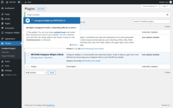 Page screenshot: Plugins &lsaquo; Test site &mdash; WordPress